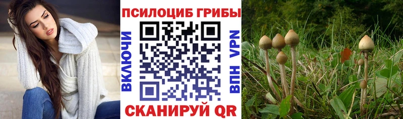 Псилоцибиновые грибы Magic Shrooms  площадка наркотические препараты  Кропоткин 
